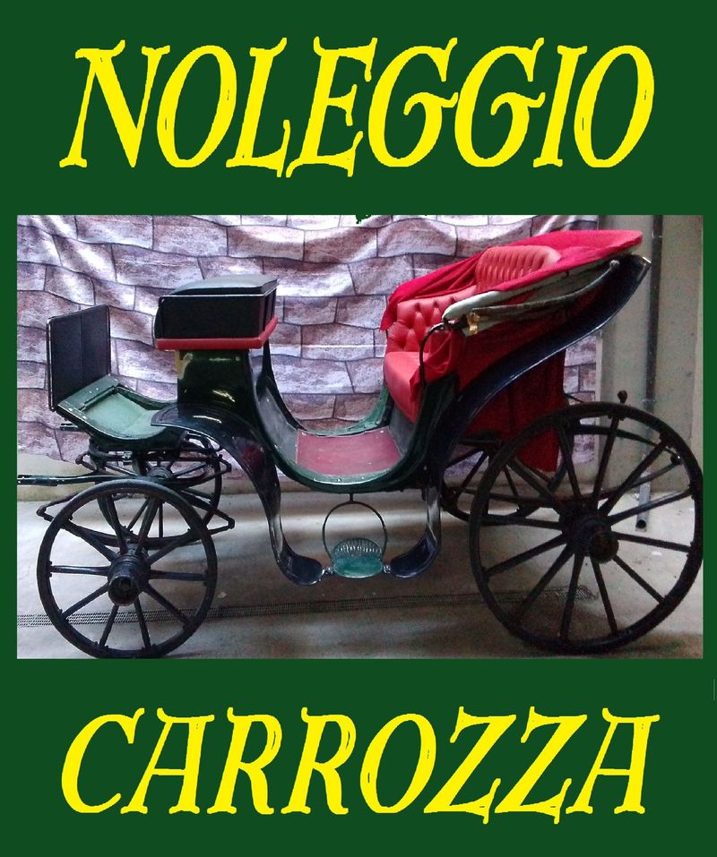 noleggia una CARROZZA
